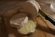 Hermelín